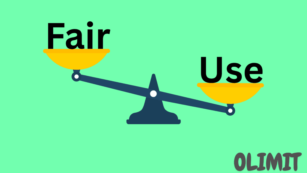 weight scale balance, fair use policy text